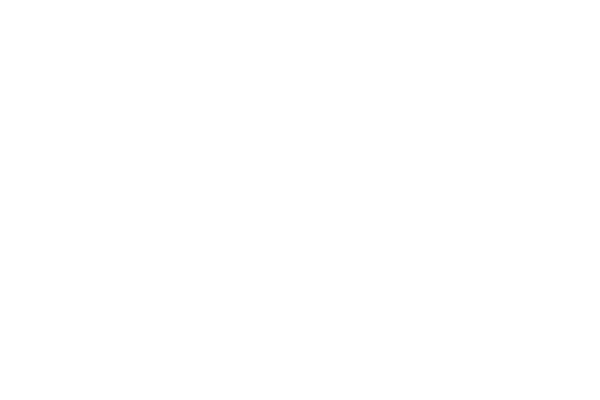 iDeal